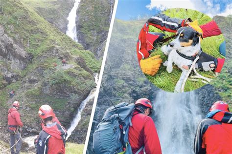 Dog falls down 200-foot waterfall and sparks daring rescue mission