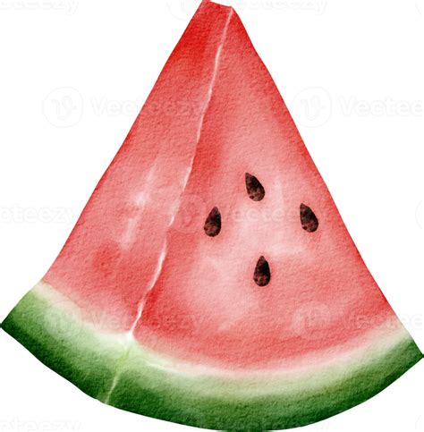 Watercolor Watermelon Fruit 16541909 Png