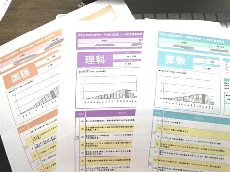 全国学力・学習状況調査の結果 大葉な日々