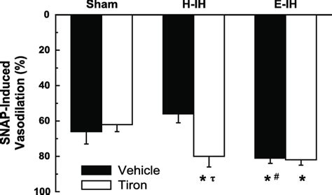 Vasodilatory Responses To The NO Donor SNAP 1 M In The Presence Of