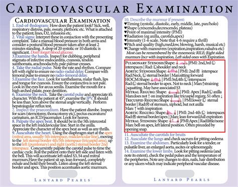 Isbar A To G Assessment Card For Deteriorating Patient Nursing Lanyard Card Ebay