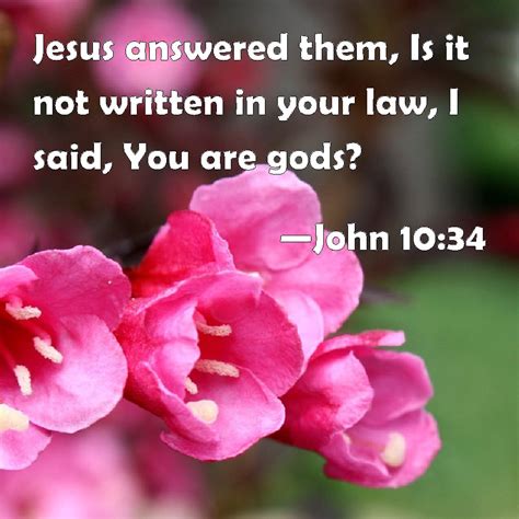 John Jesus Answered Them Is It Not Written In Your Law I Said