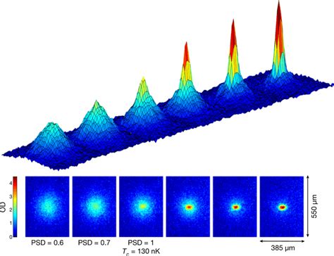 Bose Einstein Condensate Examples