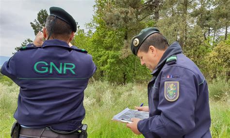 SantarÉm Gnr Identificou 624 Terrenos Por Limpar No Distrito Quem