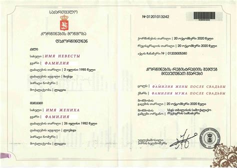 How to Access Georgia Marriage Records and Public Documents 8