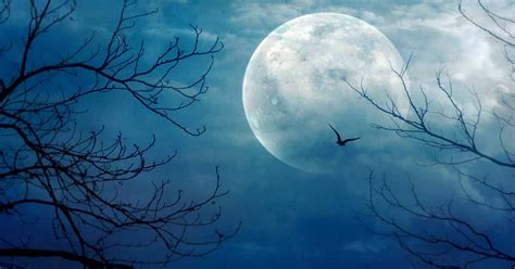 Rare blue moon will make this Halloween extra special