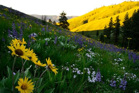 Explore Lake Chelan: Cascade Loop Scenic Byway Desitination