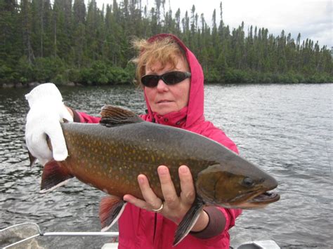 Labrador S Igloo Lake Lodge Lodge De Pesca Con Mosca Directorio De