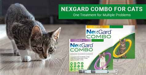 Nexgard For Cats How To Apply