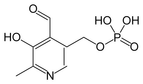 Пиридоксина гидрохлорид | это... Что такое Пиридоксина гидрохлорид?
