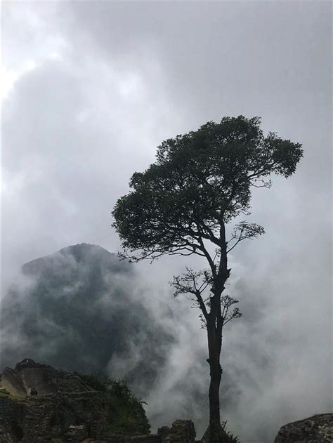 Hiking into Machu Picchu. : hiking