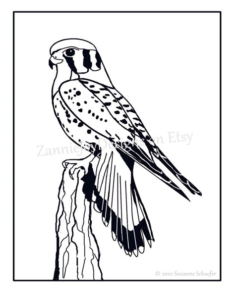 Hawk Ink Line Drawing Instant Download Printable PDF - Etsy