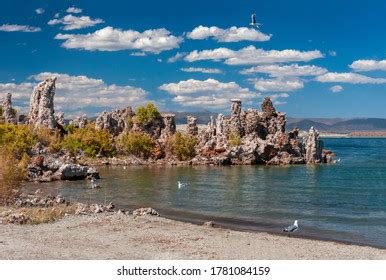 392 Calcareous tufa Images, Stock Photos & Vectors | Shutterstock