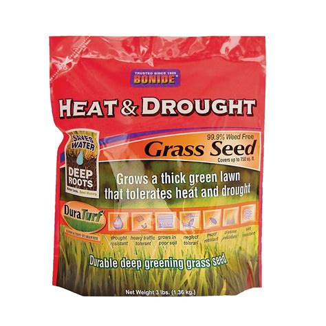 Heat And Drought Grass Seed On Sale Lawn And Plant Watering Tools At Low Price — Life And Home