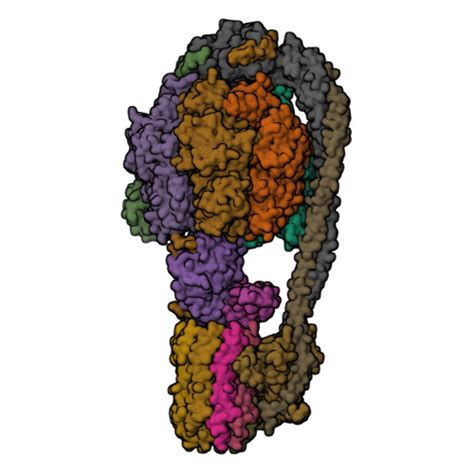 Rcsb Pdb Jr Cryo Em Structure Of Mycobacterium Tuberculosis Atp