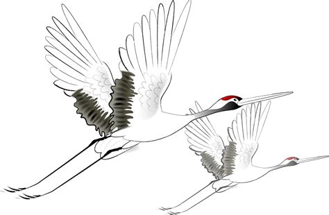 Журавль в полете рисунок - фото и картинки abrakadabra.fun
