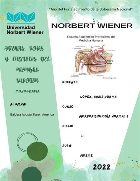 Arterias Venas Y Linf Ticos Del Miembro Superior Karen Baldera Udocz