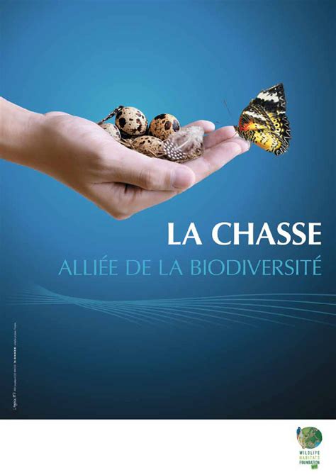 Le Chasseur De Laube N°1 Fédération Des Chasseurs De Laube