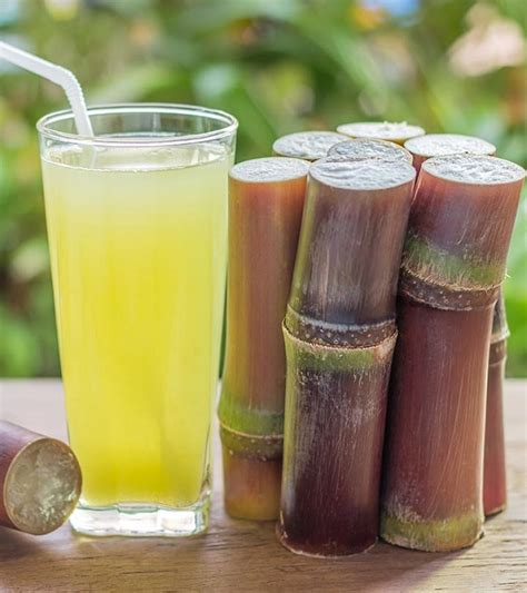មិននឹកស្មាន! ទឹកអំពៅ មានប្រយោជន៍ ៤ធំៗនេះសោះ! - Khmerload