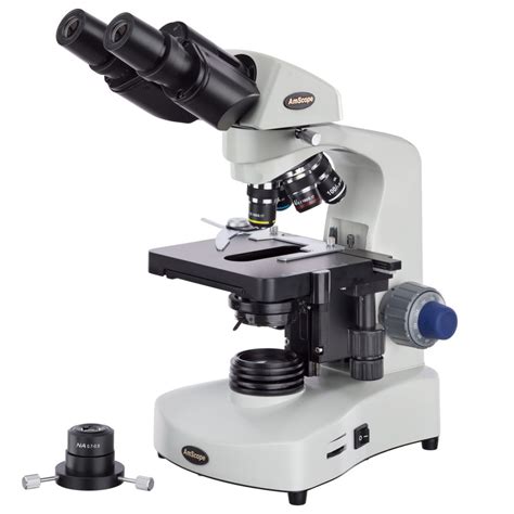 Exercise And Microscopy And Staining Labs Diagram Quizlet