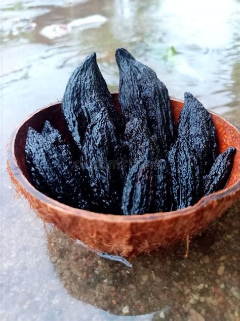 Dried Chocolate Fruit Picked From The Tree Stock Image Image Of Black