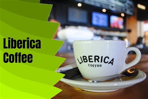 Liberica Coffee - Benefits, Features, Taste And Types Of Brands Of This ...