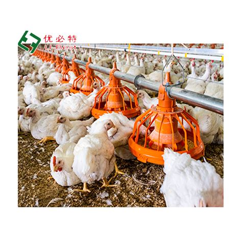 High Quality Modern Broiler Equipment Poultry Shed Design Chicken Farm