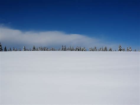 Free Images Nature Horizon Mountain Snow Weather Arctic Fir