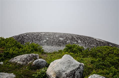 Large Granite Rock Looks Like A Whales Back Stock Photo Download