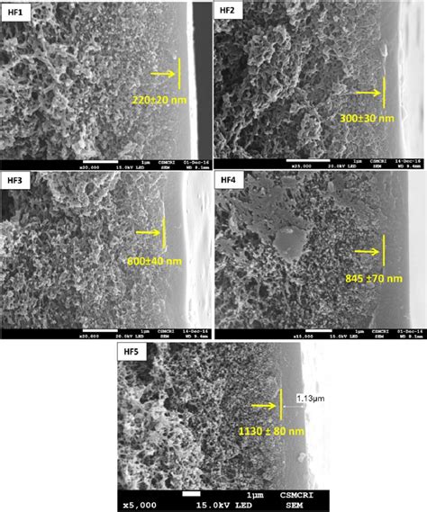 Sem Cross Sectional Images Of Pva Sio Coated Composite Hollow Fibers