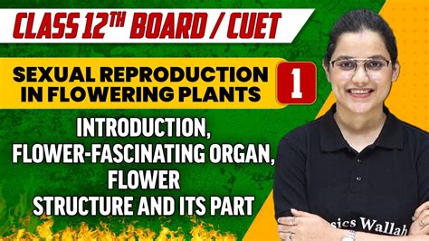 Sexual Reproduction In Flowering Plants 01 Introduction To Flower And