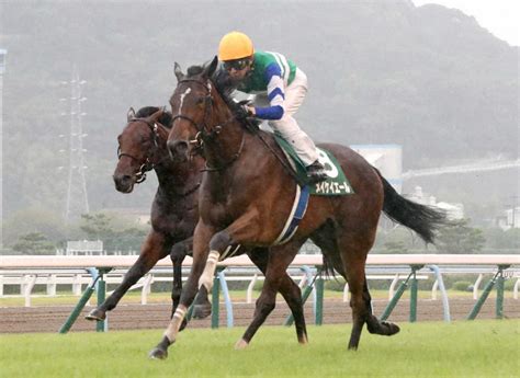 ＜小倉11r 小倉2歳s＞レースを制したメイケイエール＝手前（撮影 中村達也） ― スポニチ Sponichi Annex ギャンブル