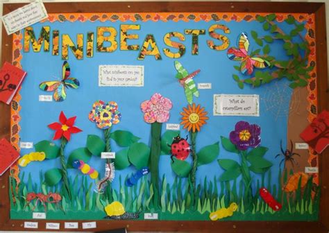 Minibeasts Teaching Photos Preschool Displays Minibeasts Nursery