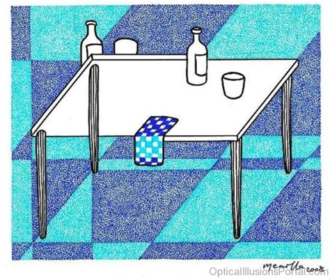 55 Cool Multiple Illusion