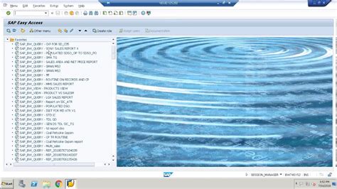 Sap Logon Screen Gui Navigation Sap Bi Bw Youtube