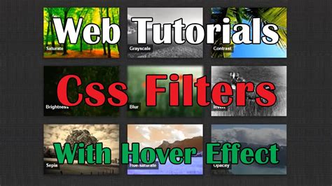 CSS Image Hover Effects With CSS3 Filters CSS3 HTML Tutorials