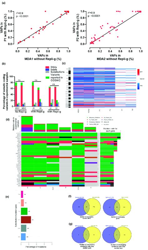 Overview Of Whole Exome Sequencing Wes Analysis In Spike In And Download Scientific Diagram