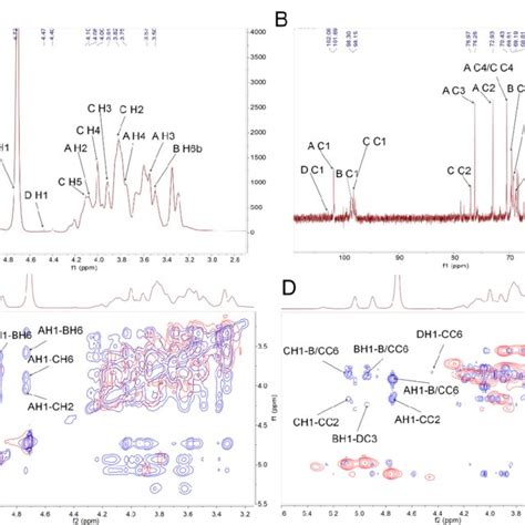 Structural Characterization Of PAPS1 One Dimensional NMR Atlas Of A