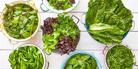 20 Types of Lettuce - Different Kinds of Lettuce and How to Use Them