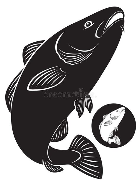 Cod Fish Stock Vector Illustration Of Fishing Liver