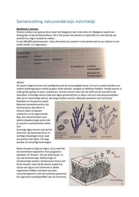 Samenvatting Natuuronderwijs Inzichtelijk Bladgroen Speelt Een