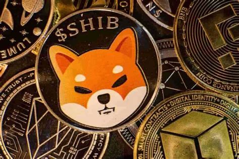 Mysterious 48 Billion Shiba Inu Shib Owner Activates Wallet After 6