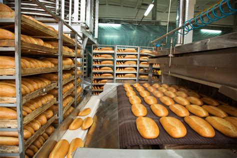 US Fueling Bakery Processing Equipment Growth