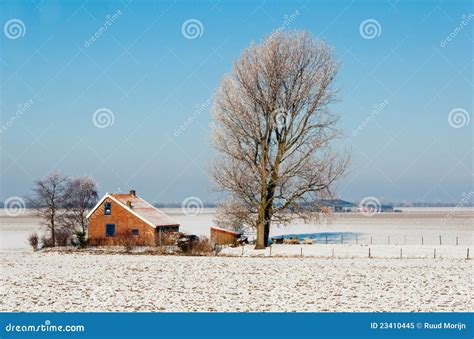 Dutch Farm In Winter Stock Image Image Of Barn Farming 23410445