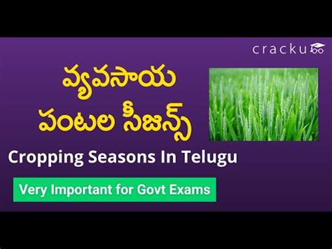 Cropping Seasons In Telugu Crops In India Youtube