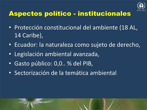 Ppt Perspectivas Del Medio Ambiente América Latina Y El Caribe Geo