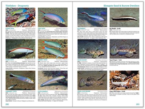 Second Edition of Reef Fish Identification – Tropical Pacific