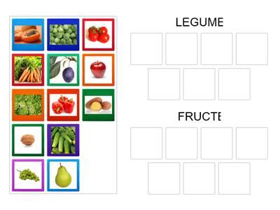 Fructele Si Legumele Grupa Mare Resurse Didactice