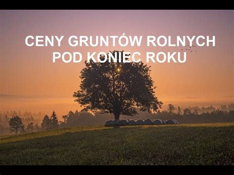 Ceny Grunt W Rolnych I Dzia Ek Budowlanych Co B Dzie Dalej Kryzys