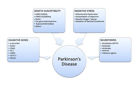 Triad Of Parkinsons Disease